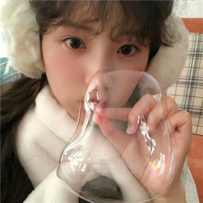 爱犬情深