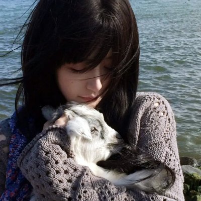 海龟们